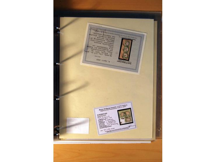 1872/75, große Brustschilde-Ausstellungs-Sammlung auf 83 Blättern, dabei viele Besonderheiten, u.a. raue Zähnung, fehlende Zä