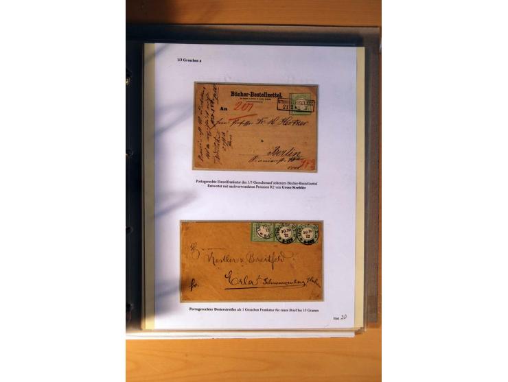 1872/75, große Brustschilde-Ausstellungs-Sammlung auf 83 Blättern, dabei viele Besonderheiten, u.a. raue Zähnung, fehlende Zä