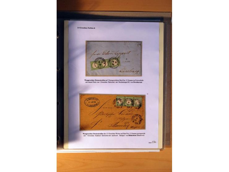 1872/75, große Brustschilde-Ausstellungs-Sammlung auf 83 Blättern, dabei viele Besonderheiten, u.a. raue Zähnung, fehlende Zä