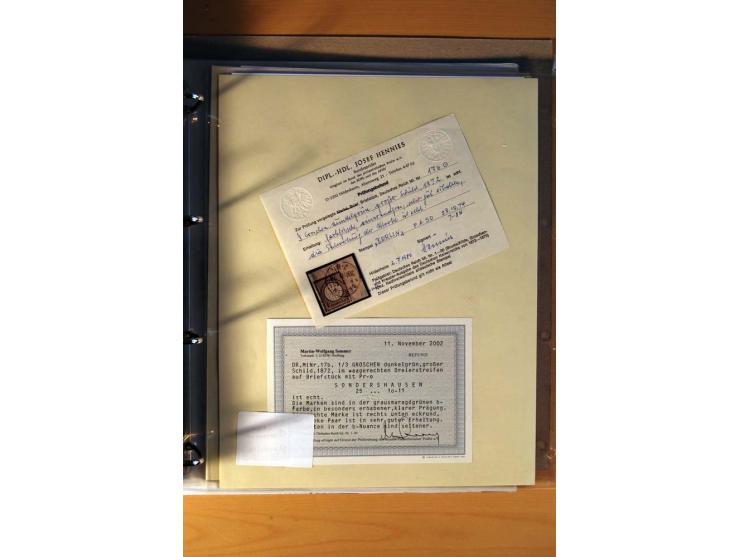 1872/75, große Brustschilde-Ausstellungs-Sammlung auf 83 Blättern, dabei viele Besonderheiten, u.a. raue Zähnung, fehlende Zä