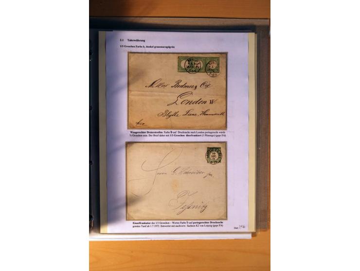 1872/75, große Brustschilde-Ausstellungs-Sammlung auf 83 Blättern, dabei viele Besonderheiten, u.a. raue Zähnung, fehlende Zä