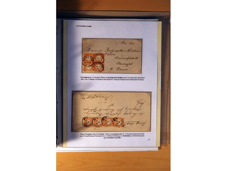 1872/75, große Brustschilde-Ausstellungs-Sammlung auf 83 Blättern, dabei viele Besonderheiten, u.a. raue Zähnung, fehlende Zä