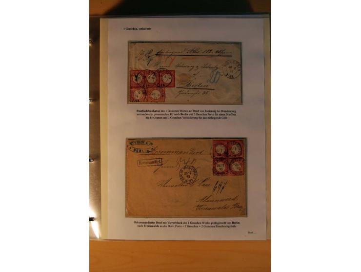 1872/75, große Brustschilde-Ausstellungs-Sammlung auf 83 Blättern, dabei viele Besonderheiten, u.a. raue Zähnung, fehlende Zä
