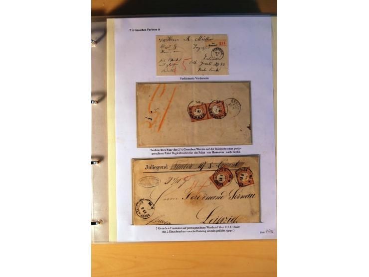 1872/75, große Brustschilde-Ausstellungs-Sammlung auf 83 Blättern, dabei viele Besonderheiten, u.a. raue Zähnung, fehlende Zä