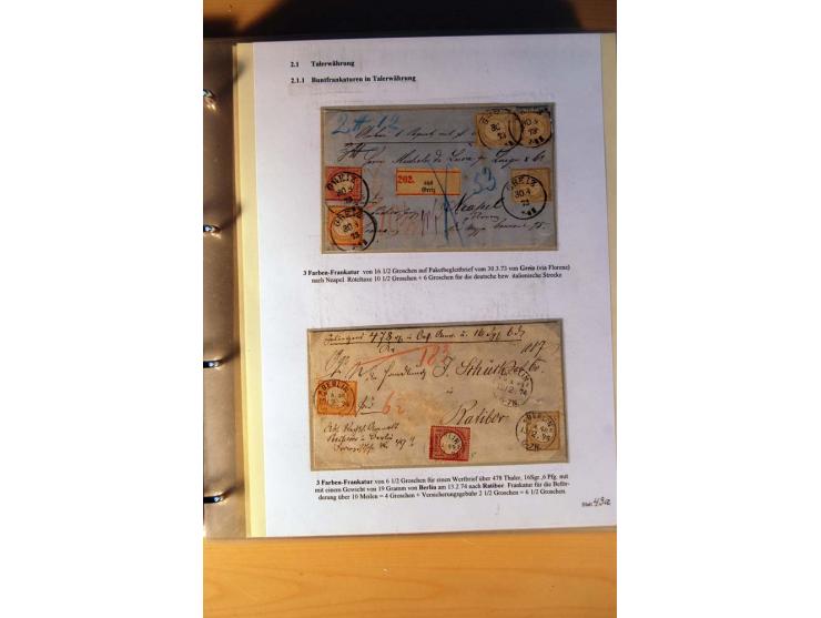 1872/75, große Brustschilde-Ausstellungs-Sammlung auf 83 Blättern, dabei viele Besonderheiten, u.a. raue Zähnung, fehlende Zä
