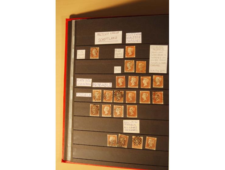1841, umfangreiche Sammlung mit vielen hundert Werten, meist Mi.-Nr. 3, differenziert gesammelt nach Platten, dabei etliche W