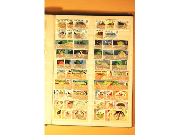 1954/82 (ca.), 45 postfrische Dauerserien von 34 Ländern, postfrisch im Einsteckbuch (Mi. 2004/10 nach Angabe des Einlieferer
