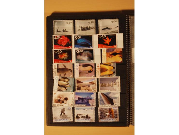 AUSTRALISCHE ANTARKTIS UND ROSS-GEBIET: 1957/2007, kpl. postfrische Sammlung im kleinen Einsteckbuch (Mi. ca. 570,-)