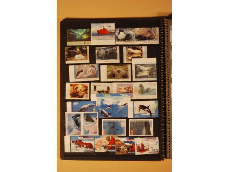 AUSTRALISCHE ANTARKTIS UND ROSS-GEBIET: 1957/2007, kpl. postfrische Sammlung im kleinen Einsteckbuch (Mi. ca. 570,-)