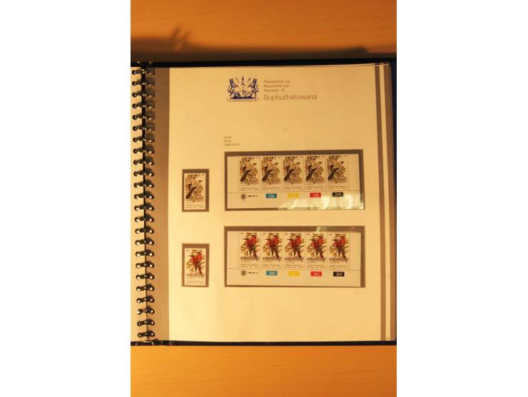 BOPHUTHATSWANA: 1977/94, postfrische und gestempelte Sammlung, dabei 4er-Blocks und 5er-Streifen mit Kontroll-Nummern, FDC's,
