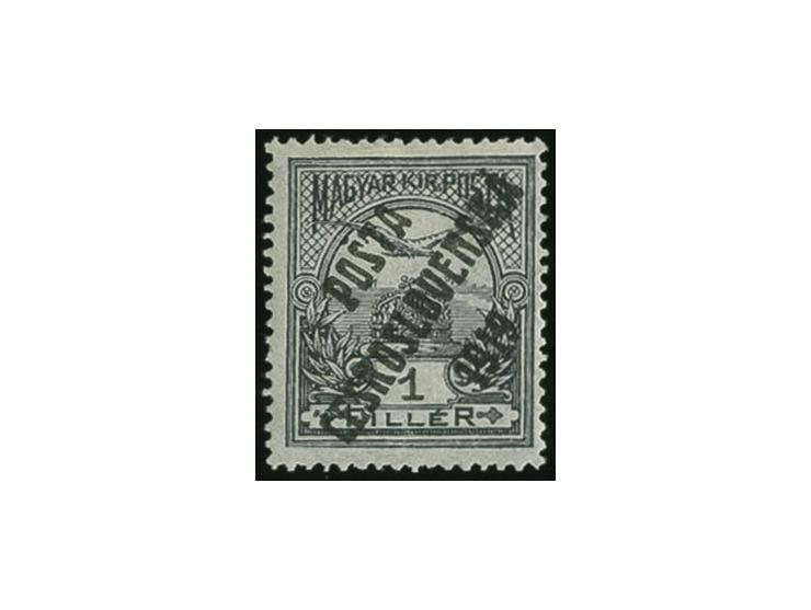 Overprint on Turul: 1 f. grey-violet, unused, 1 short perf, otherwise fine, only 180 issued, sign. Benes a.o.