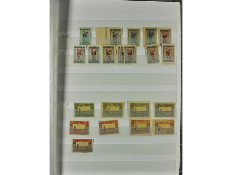 KAUKASISCHE STAATEN: Armenien, Aserbaidschan, Transkaukasien, Georgien und Batum, interessante Sammlung mit vielen Werten, am