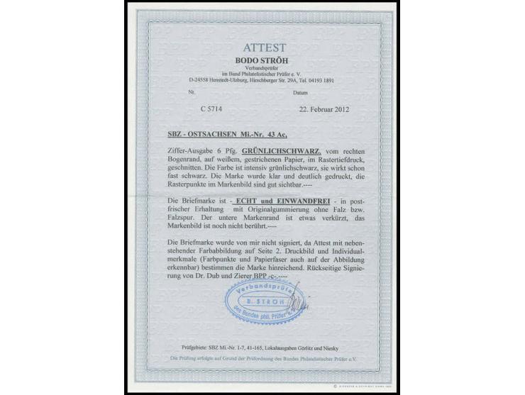 OST-SACHSEN: 1945, Ziffern geschnitten: 6 Pfg. grünschwarz in intensiver Farbe mit rechtem Bogenrand, postfrisch, tadellos, F