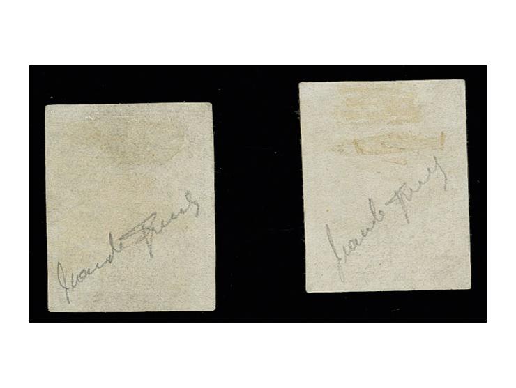 1851, Neuenburg 5 C. grauschwarz/dunkelzinnoberrot, gestempelte Sperati-Fälschungen der Typen A und B, gute Erhaltung, mit Bl