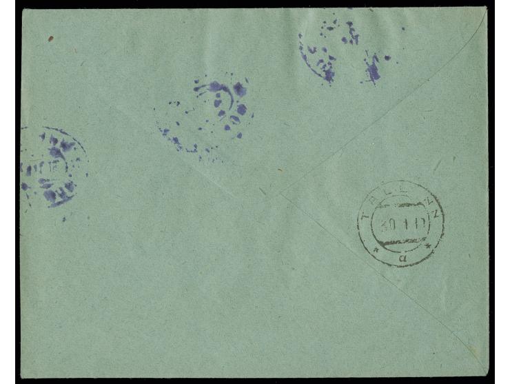NORTH WEST ARMY: 1919, 5-50 k. each as horizontal pair tied by oval cds. "23.11.19" to cover to Tallin with arrival mark, fin