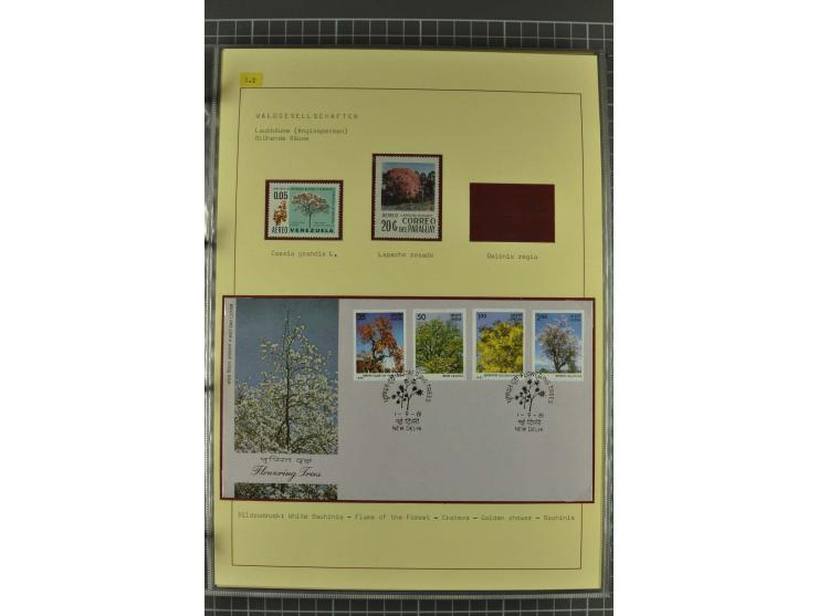 WALD UND FORST: 1943/82, postfrische, ungebrauchte und gestempelte Sammlung mit Briefstücken und vielen Belegen, dabei Sonder