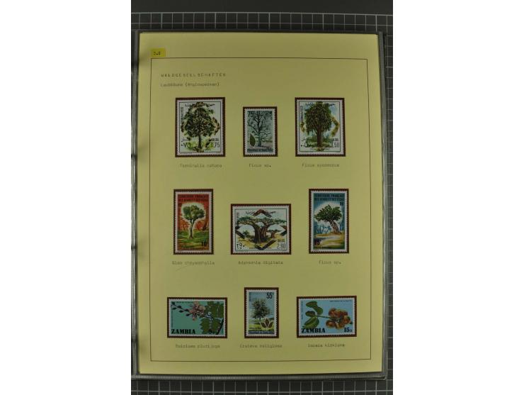WALD UND FORST: 1943/82, postfrische, ungebrauchte und gestempelte Sammlung mit Briefstücken und vielen Belegen, dabei Sonder