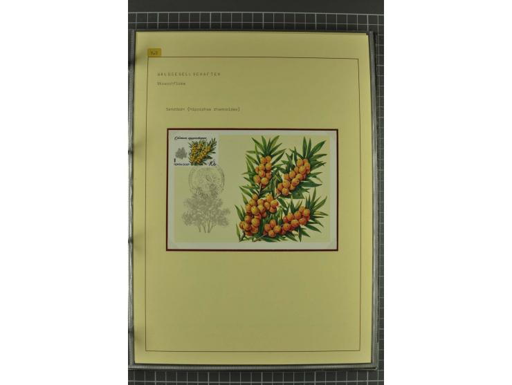 WALD UND FORST: 1943/82, postfrische, ungebrauchte und gestempelte Sammlung mit Briefstücken und vielen Belegen, dabei Sonder