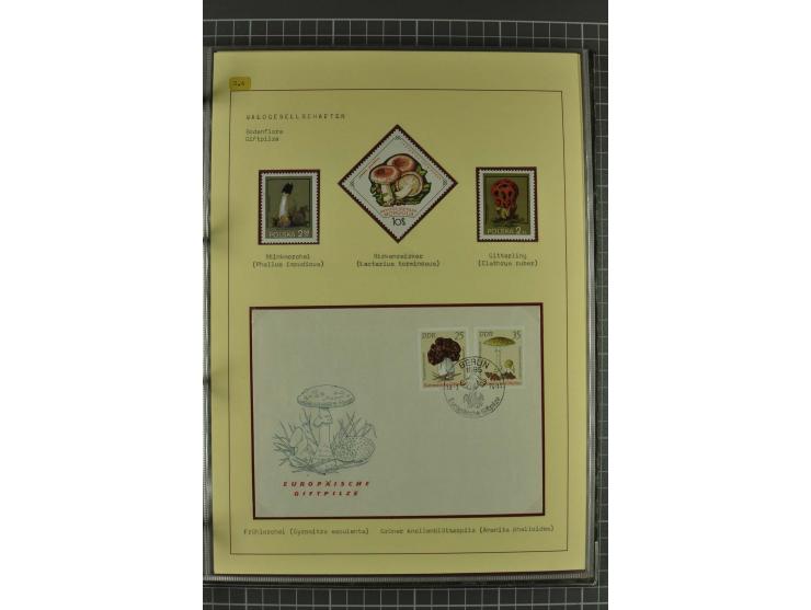 WALD UND FORST: 1943/82, postfrische, ungebrauchte und gestempelte Sammlung mit Briefstücken und vielen Belegen, dabei Sonder