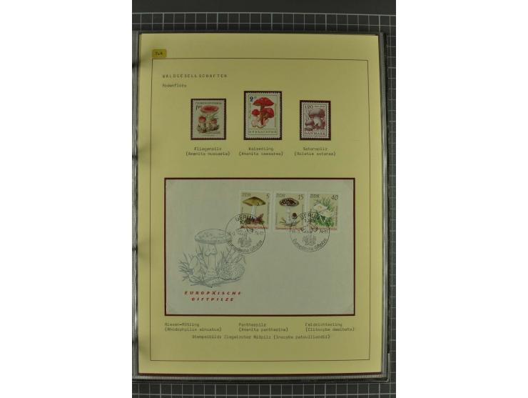WALD UND FORST: 1943/82, postfrische, ungebrauchte und gestempelte Sammlung mit Briefstücken und vielen Belegen, dabei Sonder