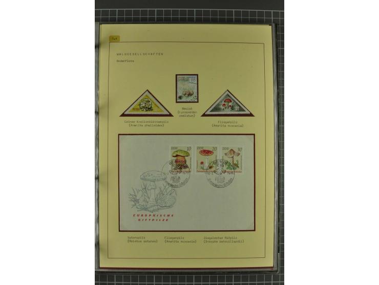 WALD UND FORST: 1943/82, postfrische, ungebrauchte und gestempelte Sammlung mit Briefstücken und vielen Belegen, dabei Sonder