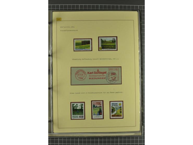 WALD UND FORST: 1943/82, postfrische, ungebrauchte und gestempelte Sammlung mit Briefstücken und vielen Belegen, dabei Sonder