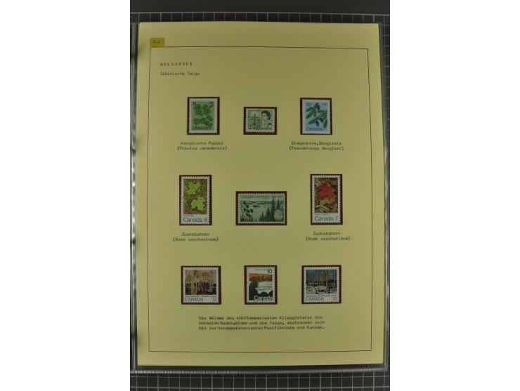 WALD UND FORST: 1943/82, postfrische, ungebrauchte und gestempelte Sammlung mit Briefstücken und vielen Belegen, dabei Sonder