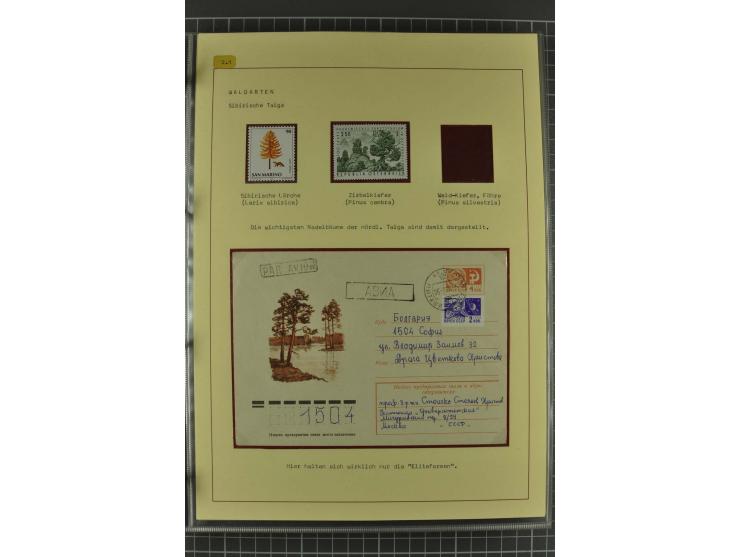 WALD UND FORST: 1943/82, postfrische, ungebrauchte und gestempelte Sammlung mit Briefstücken und vielen Belegen, dabei Sonder