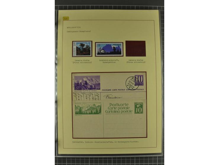 WALD UND FORST: 1943/82, postfrische, ungebrauchte und gestempelte Sammlung mit Briefstücken und vielen Belegen, dabei Sonder