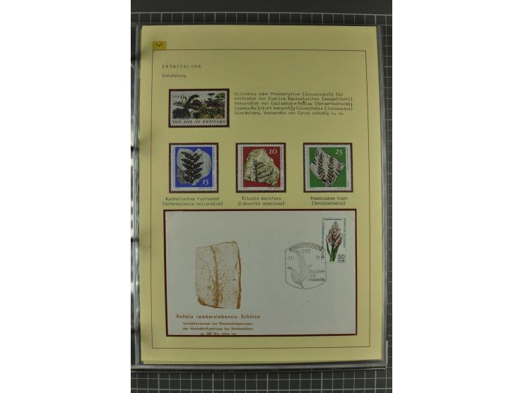 WALD UND FORST: 1943/82, postfrische, ungebrauchte und gestempelte Sammlung mit Briefstücken und vielen Belegen, dabei Sonder