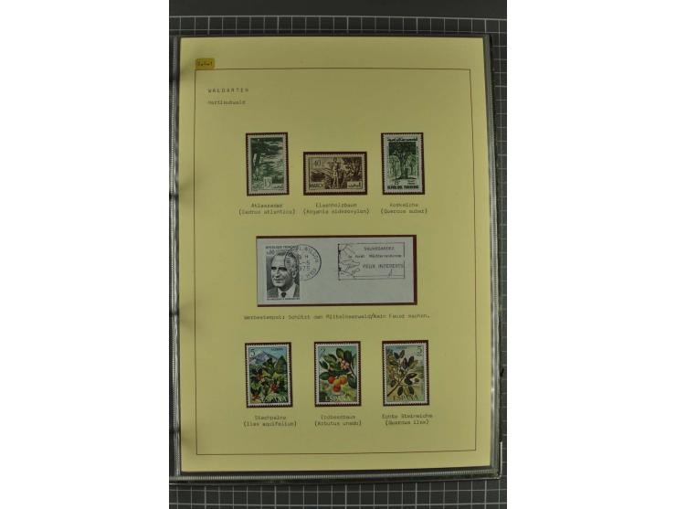 WALD UND FORST: 1943/82, postfrische, ungebrauchte und gestempelte Sammlung mit Briefstücken und vielen Belegen, dabei Sonder