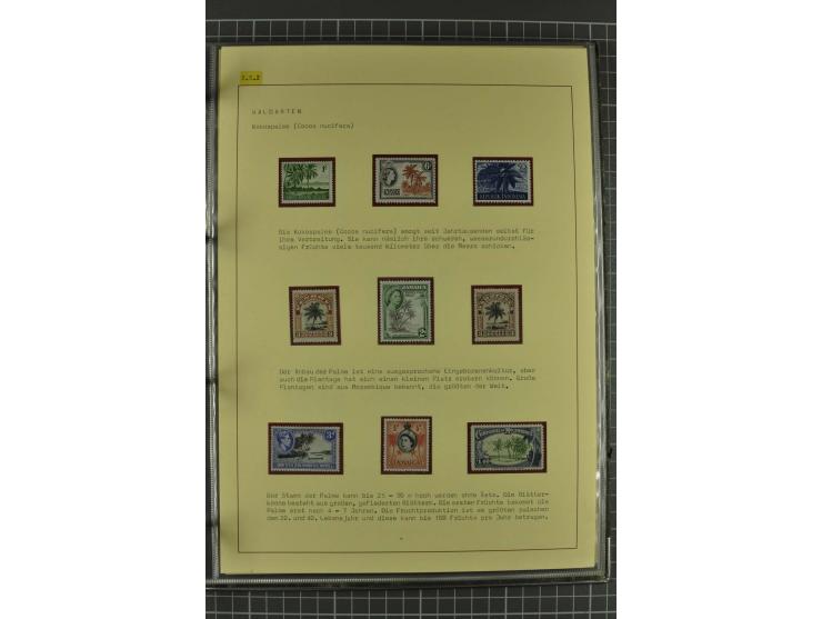 WALD UND FORST: 1943/82, postfrische, ungebrauchte und gestempelte Sammlung mit Briefstücken und vielen Belegen, dabei Sonder