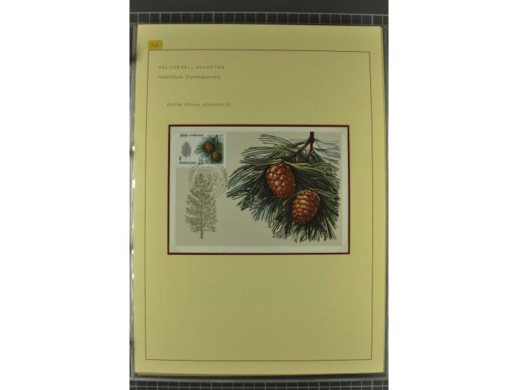 WALD UND FORST: 1943/82, postfrische, ungebrauchte und gestempelte Sammlung mit Briefstücken und vielen Belegen, dabei Sonder