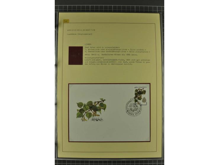 WALD UND FORST: 1943/82, postfrische, ungebrauchte und gestempelte Sammlung mit Briefstücken und vielen Belegen, dabei Sonder