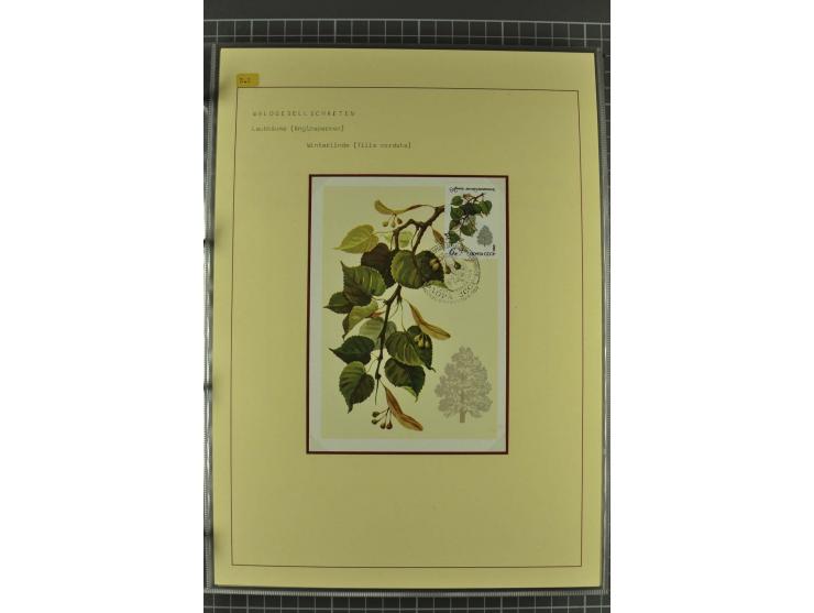 WALD UND FORST: 1943/82, postfrische, ungebrauchte und gestempelte Sammlung mit Briefstücken und vielen Belegen, dabei Sonder
