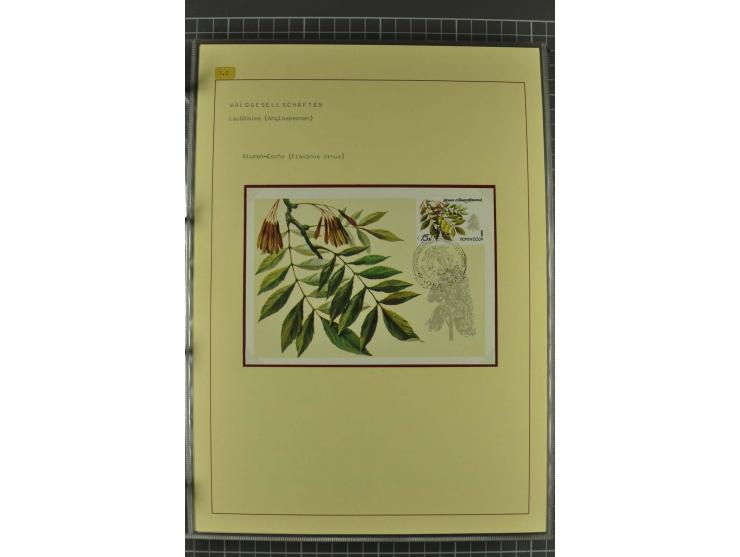 WALD UND FORST: 1943/82, postfrische, ungebrauchte und gestempelte Sammlung mit Briefstücken und vielen Belegen, dabei Sonder