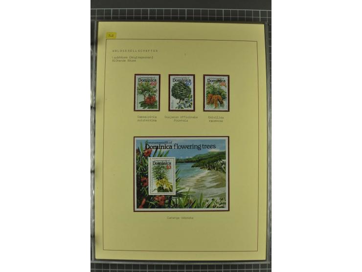 WALD UND FORST: 1943/82, postfrische, ungebrauchte und gestempelte Sammlung mit Briefstücken und vielen Belegen, dabei Sonder