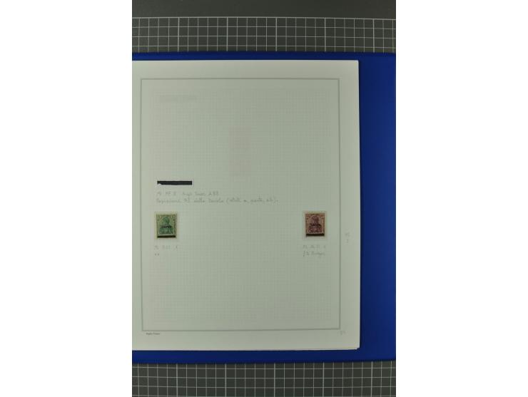 1920, "Sarre" auf Germania, postfrische, ungebrauchte und gestempelte, stark spezialisierte Sammlung mit u.a. Mi.-Nr. 1II, 1I