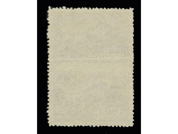 Caucasus resorts 45 kop. brown in vertical pair,  imperforated between stamps, unhinged mint