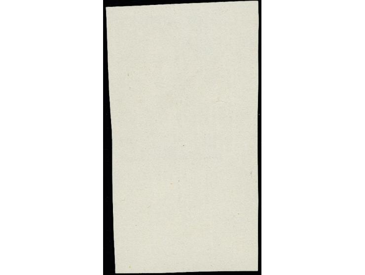 Novinsky 4 kop. imperforated from the lower left sheet margin, with shifted light-brown and blue colours, unhinged mint