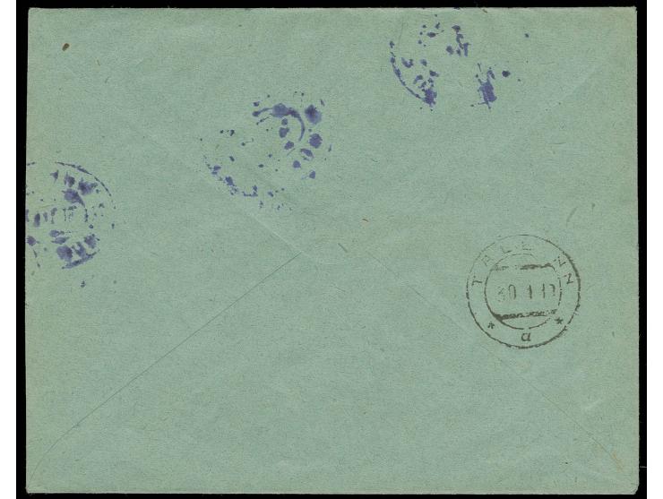NORTH WEST ARMY: 1919, 5-50 k. each as horizontal pair tied by oval cds. "23.11.19" to cover to Tallin with arrival mark, fin