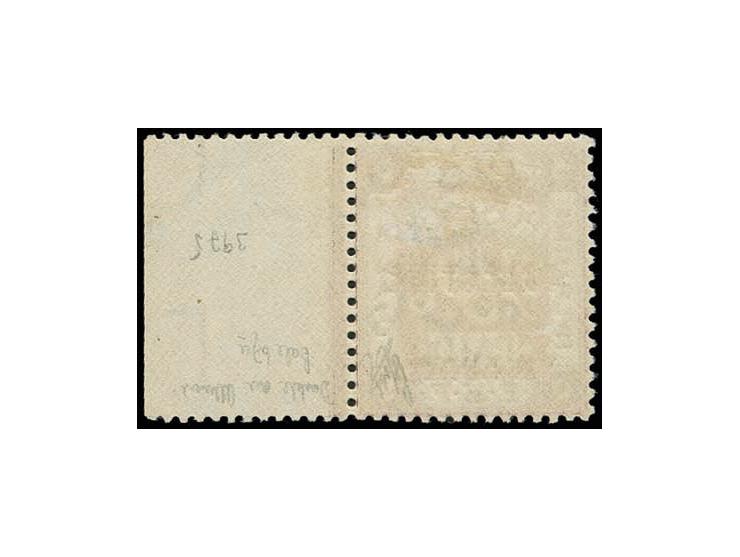 5 pia., overprint double, one albino, copy from the righ sheet margin, unused, tiny thinning, otherwise fine, a scarce stamp 