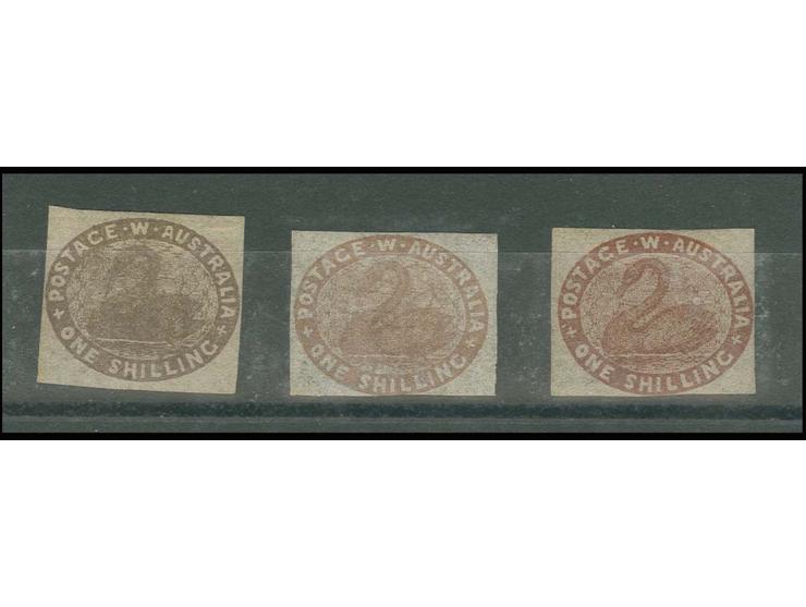 1854, Black Swan 1 s., 3 shades of grey- and pale-brown, unused o.g., 2 copies little touched, all signed Roig