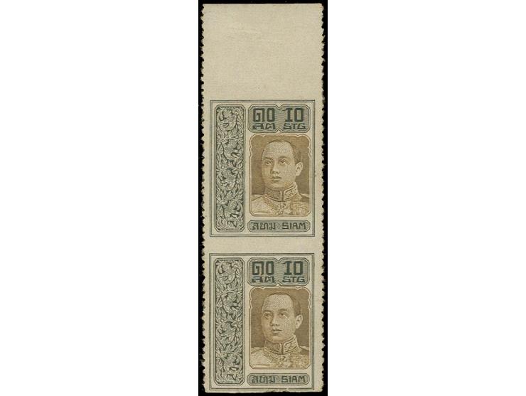 1917, King Vjiravudh 10 s. brown and black, vertical pair with sheet margins at top and var horizontal imperforated, unused, 