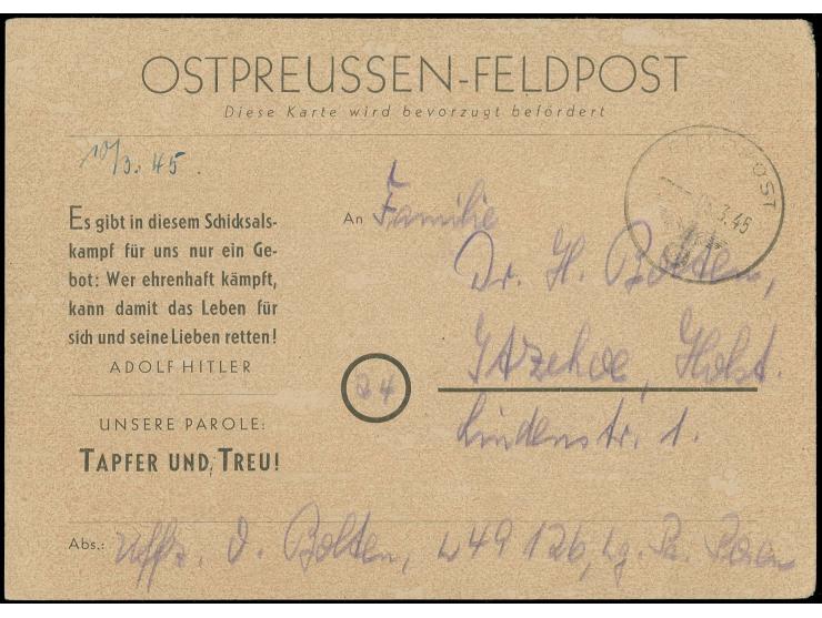 Ostpreussen Feldpost 1945, magere Schrift: gelbbeige Karte Feldpost Nr. 49126 (Stab Panzer-Pionier-Bataillon Hermann Göring) 