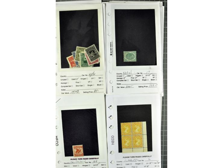 1840/1950, ungebrauchter, postfrischer und gestempelter Lagerbestand auf Verkaufskärtchen aus altem Händlerbestand "Miami Sou