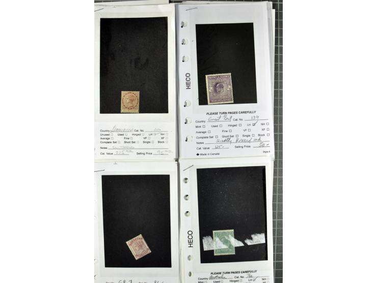 1840/1950, ungebrauchter, postfrischer und gestempelter Lagerbestand auf Verkaufskärtchen aus altem Händlerbestand "Miami Sou