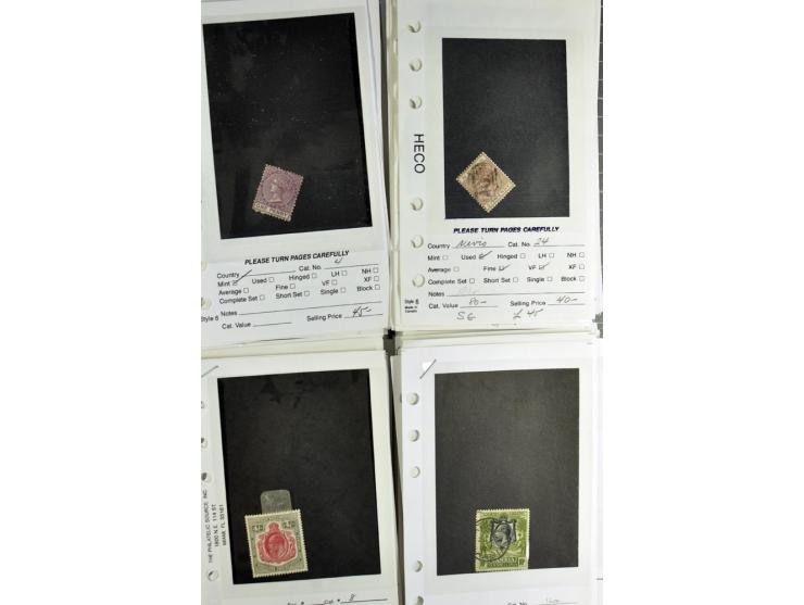 1840/1950, ungebrauchter, postfrischer und gestempelter Lagerbestand auf Verkaufskärtchen aus altem Händlerbestand "Miami Sou
