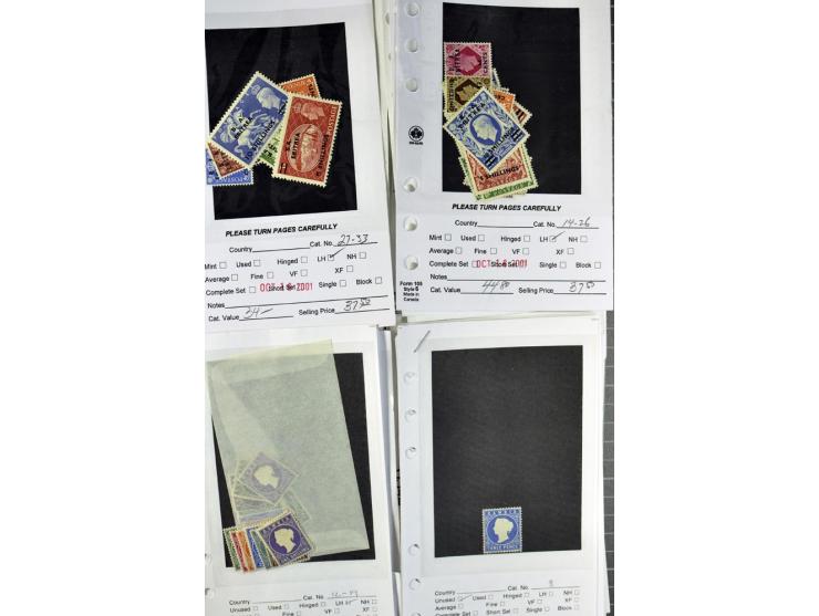 1840/1950, ungebrauchter, postfrischer und gestempelter Lagerbestand auf Verkaufskärtchen aus altem Händlerbestand "Miami Sou