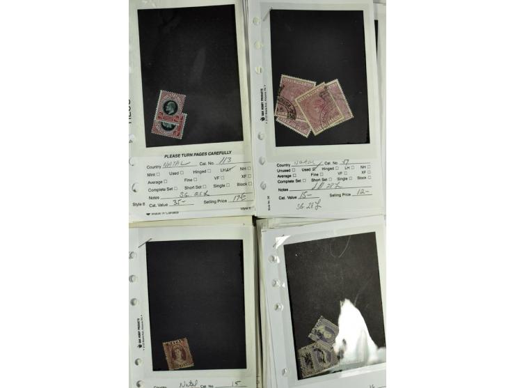 1840/1950, ungebrauchter, postfrischer und gestempelter Lagerbestand auf Verkaufskärtchen aus altem Händlerbestand "Miami Sou
